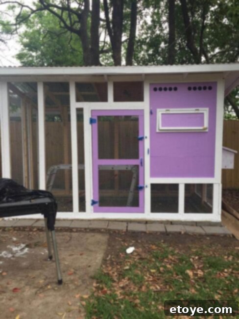 Inspiring Chicken Coops from Our Readers 17 Richard's Palace Chicken Coop featuring a clear plastic roof for enhanced natural lighting, ideal for a shaded yard environment