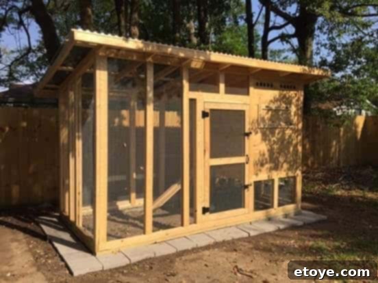 Inspiring Chicken Coops from Our Readers 18 Richard's chicken coop before painting, highlighting the robust construction and innovative clear roof panels