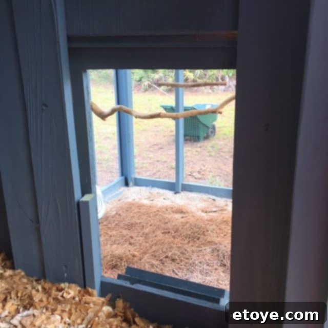 Inspiring Chicken Coops from Our Readers 20 Debbie R's Cluckingham Palace chicken coop run, beautifully featuring natural branches for roosting and organic mulch flooring