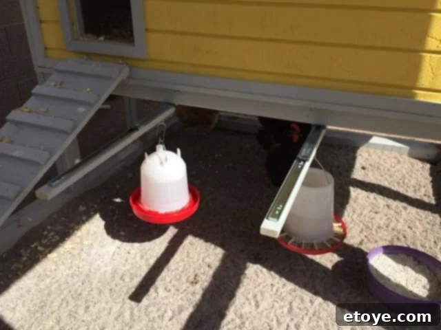 Inspiring Chicken Coops from Our Readers 3 Innovative sliding food and water system integrated into Jay W's chicken coop, offering convenient access and enhanced hygiene