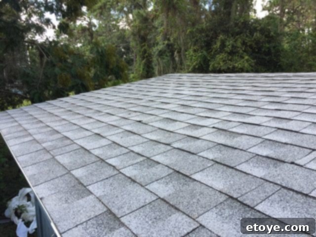Inspiring Chicken Coops from Our Readers 21 Debbie R's Cluckingham Palace chicken coop showcasing beautiful shingle roofing as a creative and traditional modification