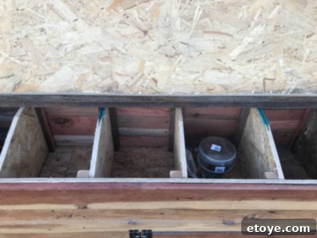 Inspiring Chicken Coops from Our Readers 24 Nesting boxes in Eric's chicken coop, featuring practical temporary sliding wood covers for training young pullets