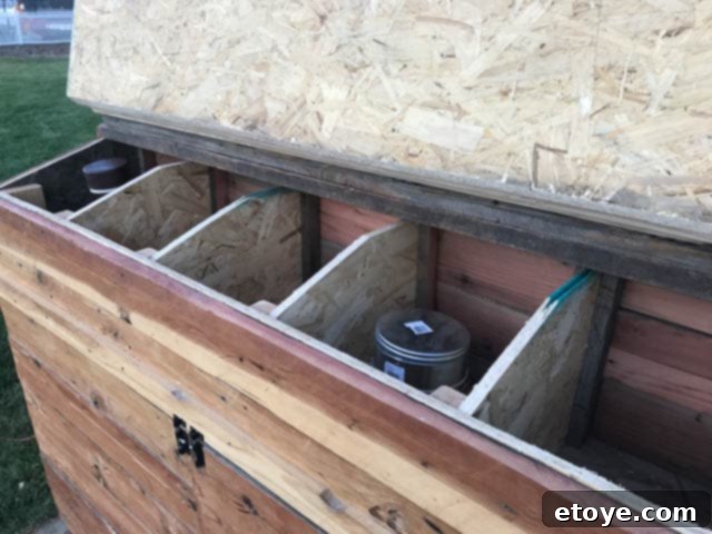 Inspiring Chicken Coops from Our Readers 29 Integrated food and water systems intelligently placed inside modified nesting boxes in Eric's highly efficient chicken coop