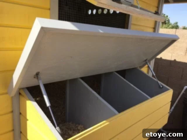 Inspiring Chicken Coops from Our Readers 6 Close-up of pneumatic lifts expertly installed on a chicken coop nesting box lid, enabling easy, hands-free egg collection