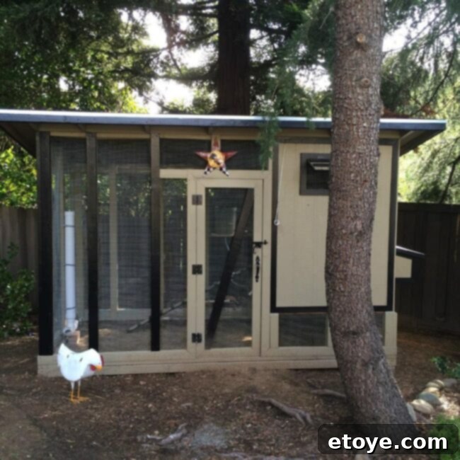 Inspiring Chicken Coops from Our Readers 7 Chris's colorful chicken coop featuring a homemade feeder, designed to blend seamlessly and aesthetically into the backyard environment