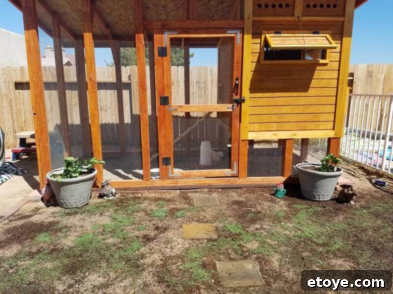 Inspiring Chicken Coops from Our Readers 8 John's chicken coop foundation, robustly built with sturdy cinder blocks for superior stability and effective pest protection