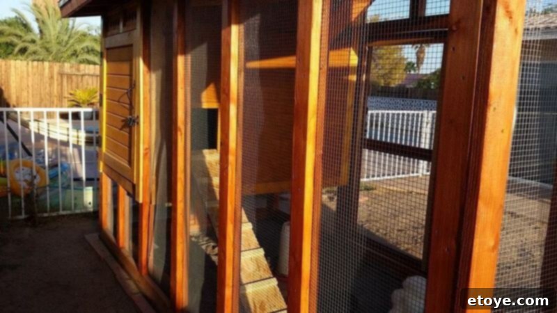 Inspiring Chicken Coops from Our Readers 9 Detailed exterior shot of John's chicken coop, prominently displaying the solid and well-constructed cinder block base