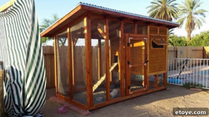 Inspiring Chicken Coops from Our Readers 10 John's chicken coop exterior detailing some strategic straight cuts in the framing, showcasing practical building modifications