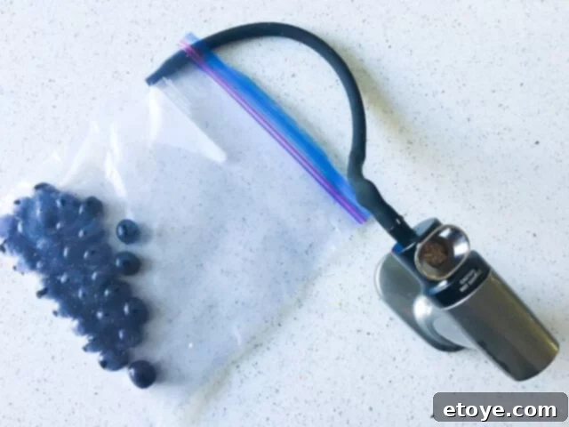 Delicious Smoked Olives Using a Smoking Gun 8 Drained olives in a resealable plastic bag, with the Smoking Gun nozzle inserted and the bag sealed around it.