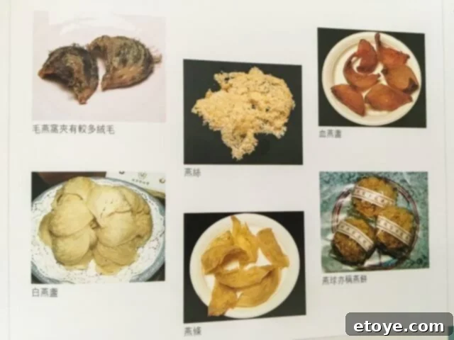 Exquisite Chinese Bird's Nest Soup 3 Various grades of edible bird's nests displayed, showing differences in color and purity.