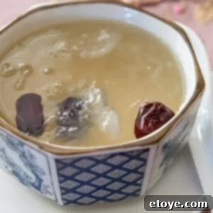Exquisite Chinese Bird's Nest Soup 14 A visually appealing bowl of Bird's Nest Soup.