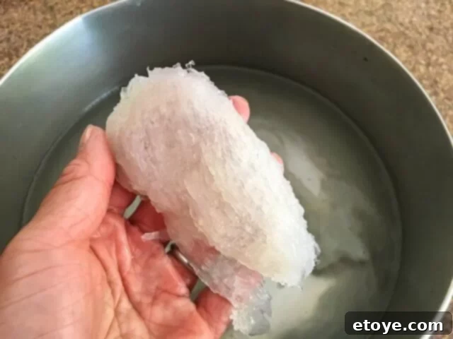 Exquisite Chinese Bird's Nest Soup 7 A hand carefully holding a cleaned bird's nest, inspecting for impurities.