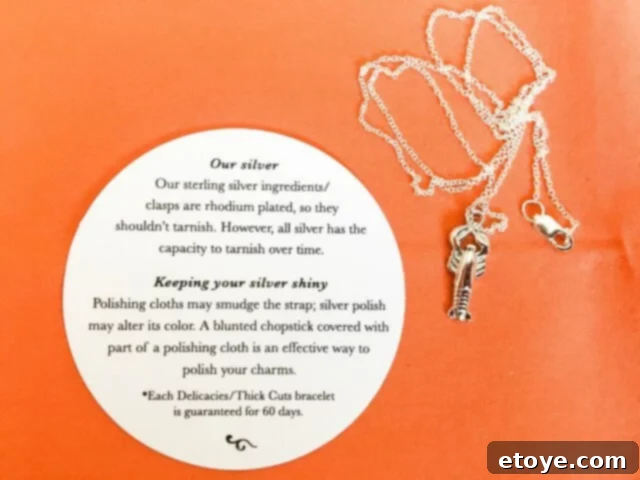 Delicacies Jewelry Unveiled: Honest Review and Giveaway 10 Sterling silver Delicacies Jewelry necklace