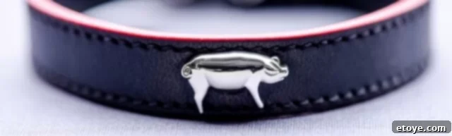 Delicacies Jewelry Unveiled: Honest Review and Giveaway 11 Delicacies Jewelry thick leather bracelet