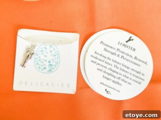 Delicacies Jewelry Unveiled: Honest Review and Giveaway 8 Inside the Delicacies Jewelry package