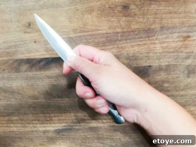 Hammer Stahl Paring Knife detail