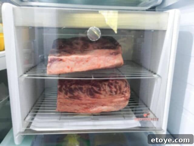 SteakAger Review Plus Win One 12 Two halves of a strip loin placed on racks inside the Steakager for dry aging, with a salt bag and drip tray below