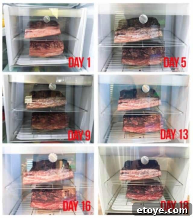 SteakAger Review Plus Win One 13 A large slab of beef after several days of dry aging, showing the formation of a dark 'bark' layer