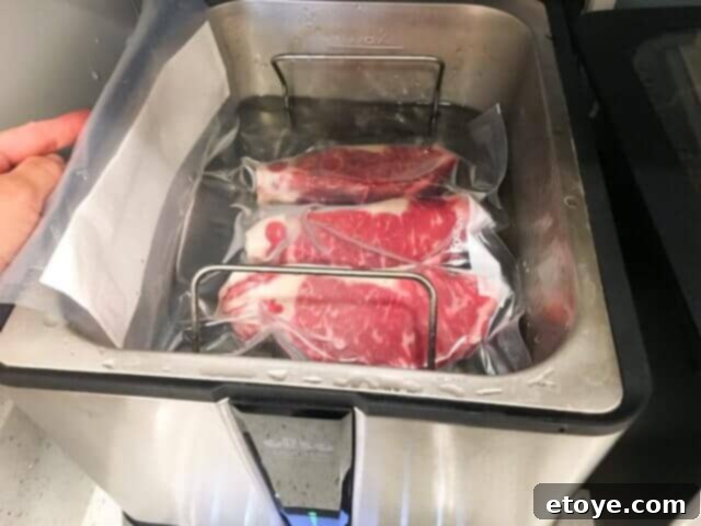 SteakAger Review Plus Win One 24 Steaks in a bag submerged in a water bath with an Oliso Immersion Circulator