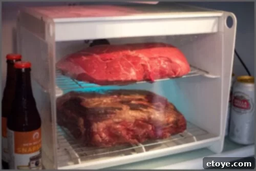SteakAger Review Plus Win One 5 The Steakager device, a compact unit designed for dry aging meat in a home refrigerator