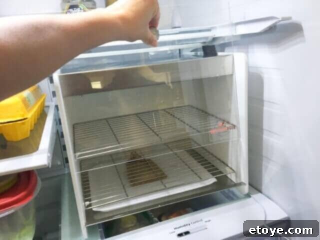 SteakAger Review Plus Win One 8 Close-up of the Steakager's upward-opening door and interior with meat inside