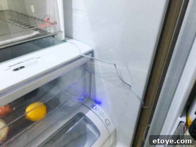 SteakAger Review Plus Win One 9 A thin power cord from the Steakager exiting a refrigerator door seal