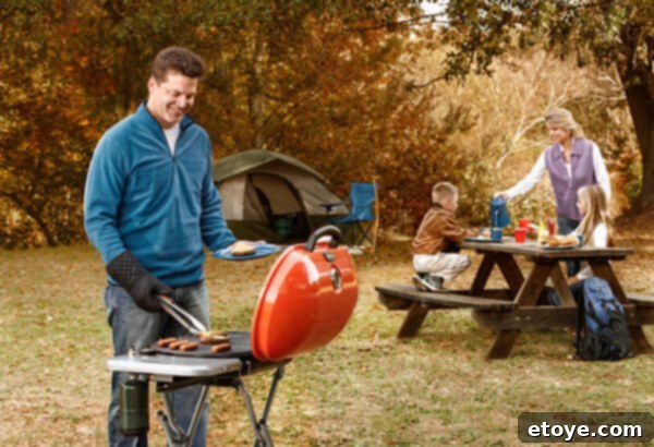 STOK Gridiron Grill: Portable propane grill with innovative inserts for versatile outdoor cooking