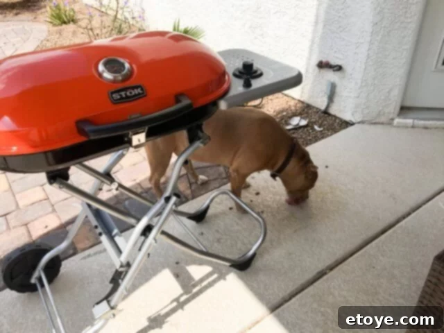 Boy Scouts assisting with cleaning up a grease spill from the STOK Gridiron Grill