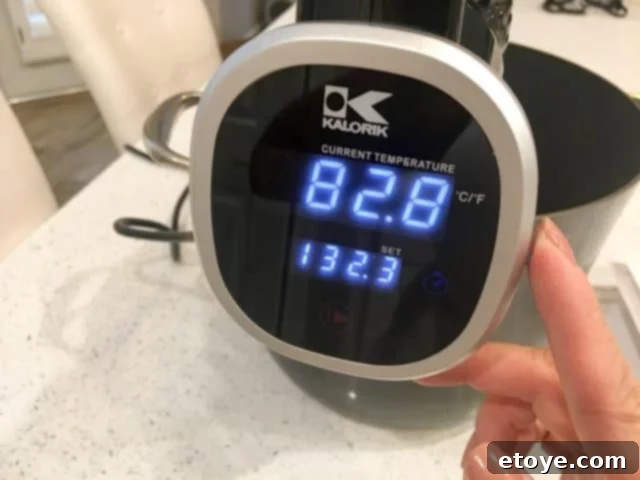 Kalorik Sous Vide control panel with wheely dial