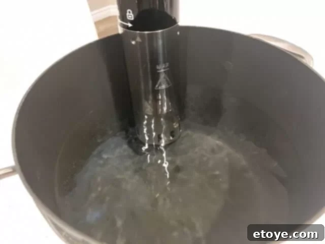 Kalorik Sous Vide motor working in water