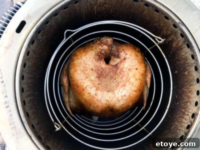 The slow but steady progress of oil-less turkey frying. Deep fried turkey without oil - Char Boil big easy