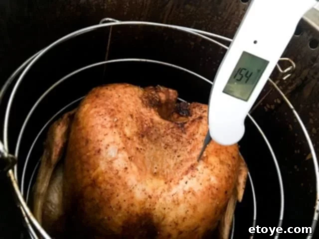 Checking the internal temperature for a perfectly cooked oil-less turkey. Deep fried turkey without oil - Char Boil big easy