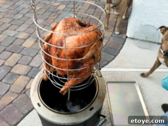 The golden-brown perfection of oil-less deep fried turkey. Deep fried turkey without oil