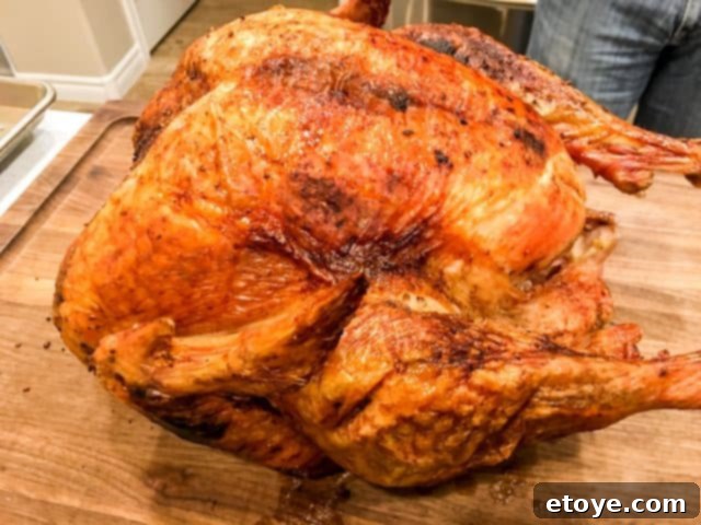 The ultimate crispy skin from an oil-less deep fried turkey. Deep fry turkey without oil - Char Boil big easy