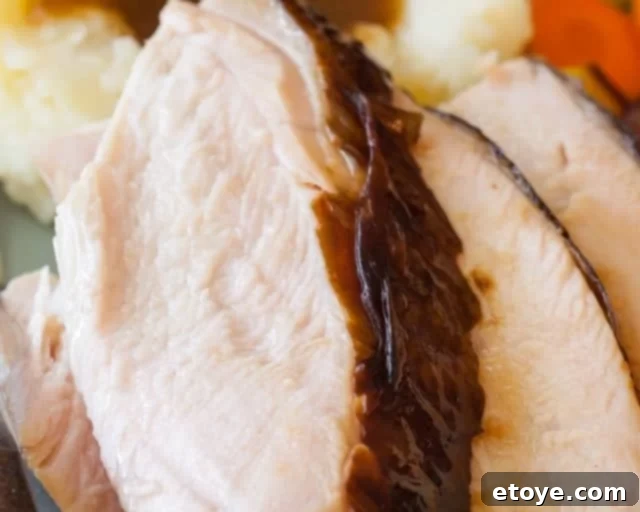 Juicy and flavorful oil-less deep fried turkey meat. Deep fry turkey without oil - Char Boil big easy