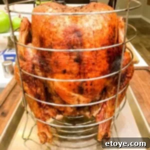 Crispy Oil-Free Turkey 4 Finished Deep Fried Turkey without Oil