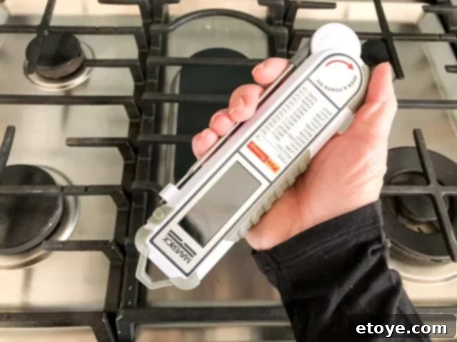 Maverick PT-100 Thermometer in kitchen