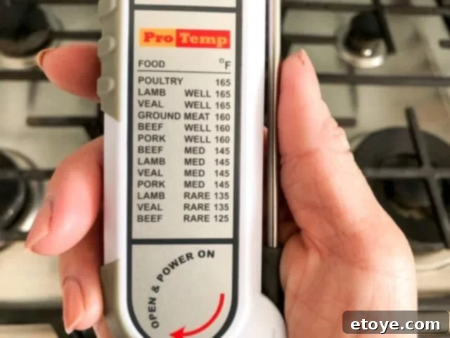 Maverick PT-100 Thermometer probe extended
