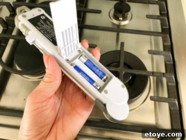 Maverick PT-100 Thermometer with built-in temperature guide