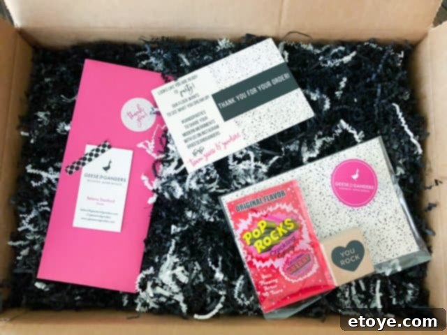 Geese and Ganders Review Plus Giveaway 4 Close-up of Geese & Ganders party decorations laid out