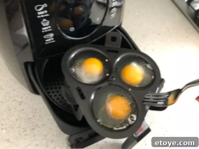 Kalorik Air Fryer Review and Enter to Win 2 img 45934 5