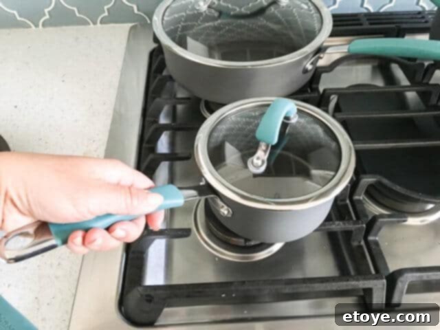 Small Rachael Ray Pot