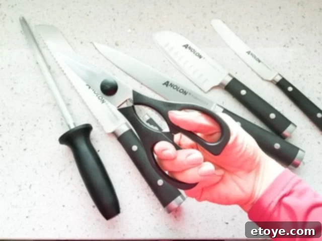 Anolon 17-Piece Japanese Knife Set Review Plus a Chance to Win 7 Anolon 17-Piece Japanese Kitchen Shears for various utility tasks