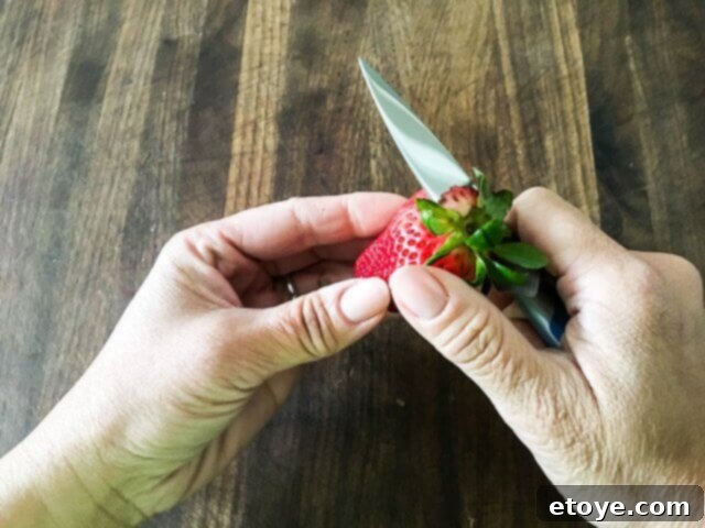 Win a Misen Knife Set 8 Misen Paring Knife bolster detail