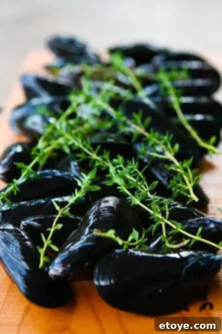Cedar Planked Mussels - Gourmet Grilling Cedar Planked Mussels - Gourmet Grilling