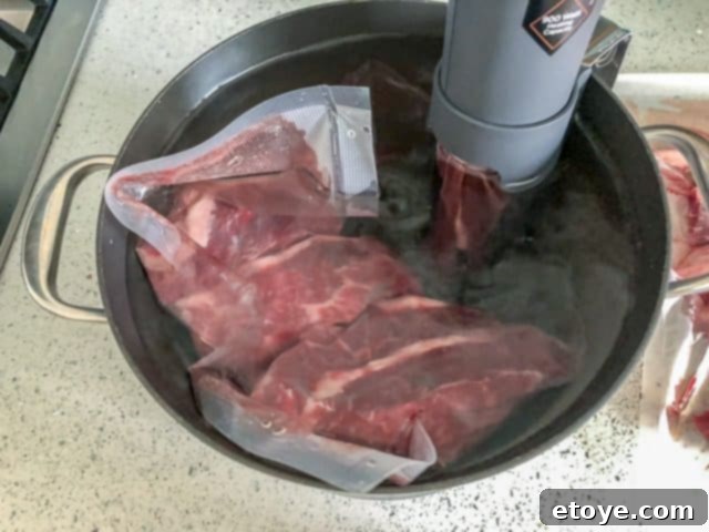 Crux Sous Vide Review: Crux Cooking Steak