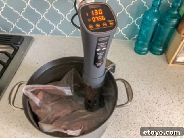 Crux Sous Vide Review: Steaks Cooking Progress