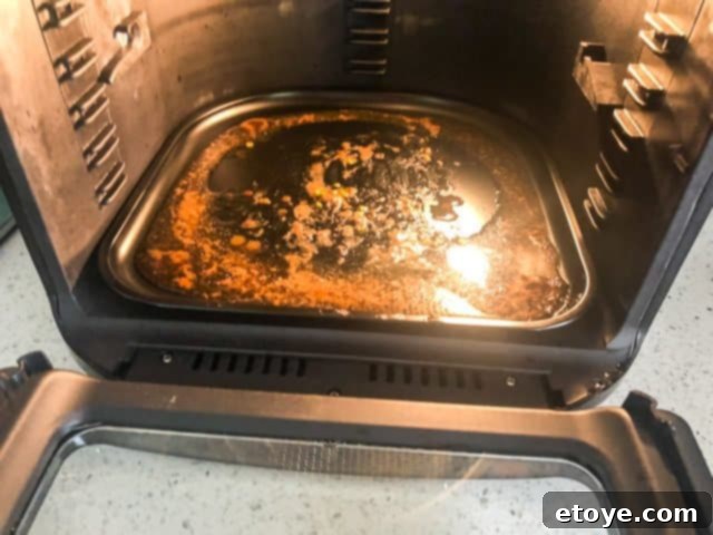 Power Air Fryer Oven Review - cleanup Power Air Fryer Oven Review - Interior Cleanup