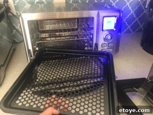 Sharp Superheated Steam Oven Review TRAY Sharp Superheated Steam Oven Review TRAY