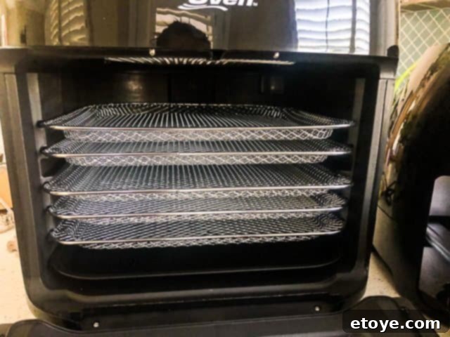Power AirFryer Oven 8 Quart Review and Enter to Win 5 Power AirFryer Oven Sturdy Trays